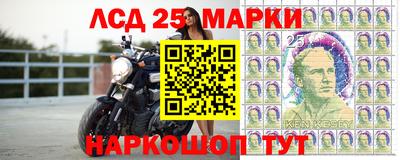 амф Кингисепп