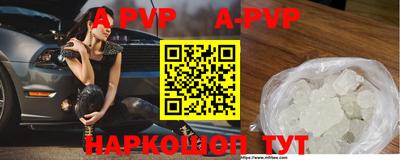 амф Кингисепп