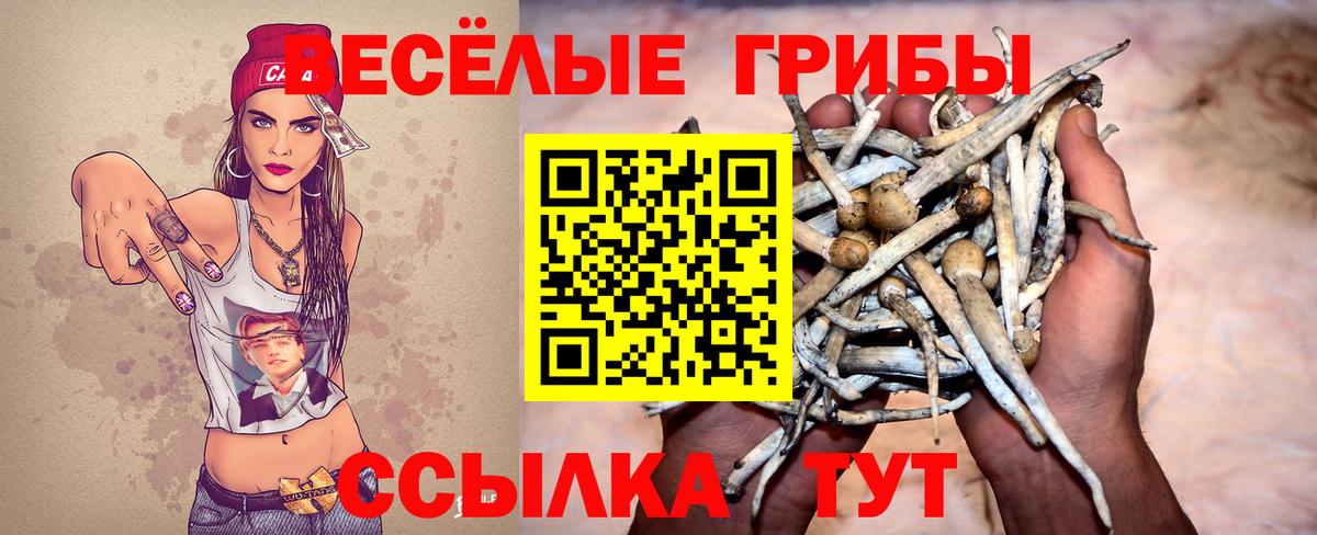 Псилоцибиновые грибы прущие грибы  Вход с VPN  Смоленск 